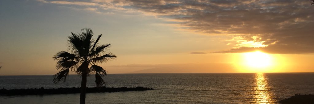 Laaravidal's profile banner image