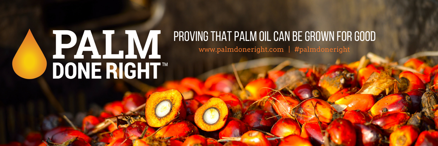 Palm Done Right banner
