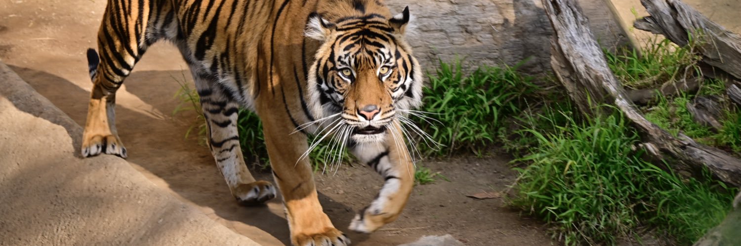 Julio C Castro banner