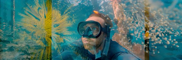KodakProFilmBiz Profile Banner