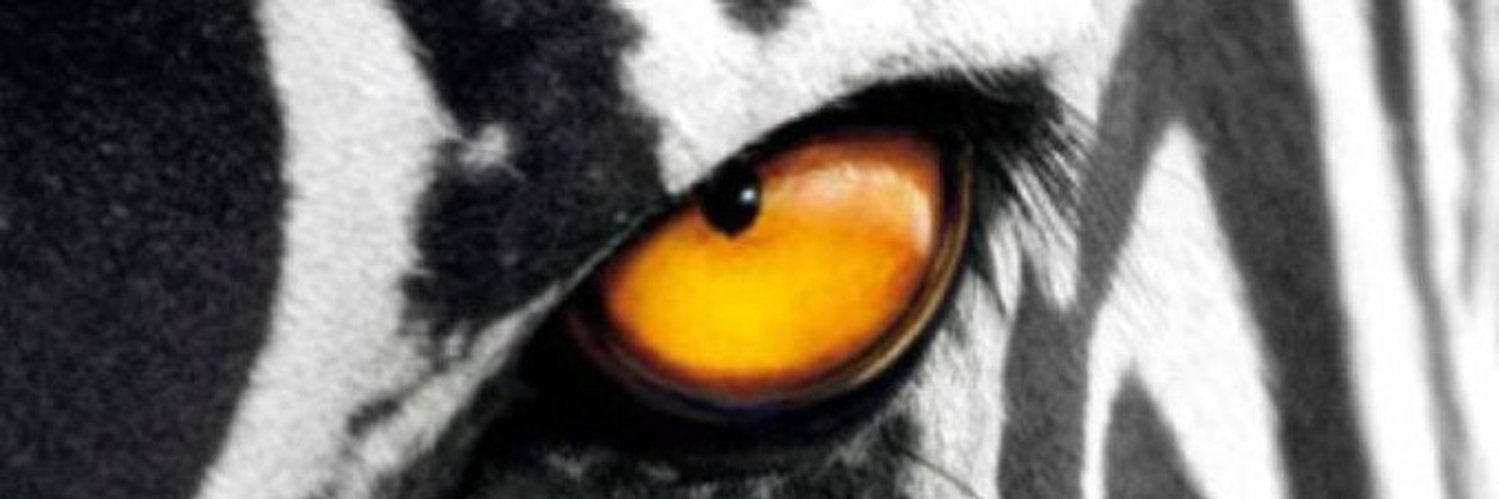 Giunnes's profile banner image