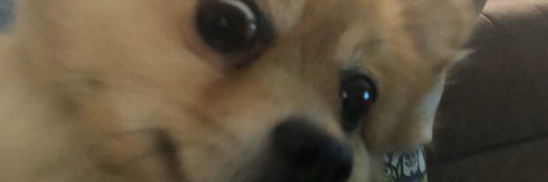 JoeyLeveroni's profile banner image