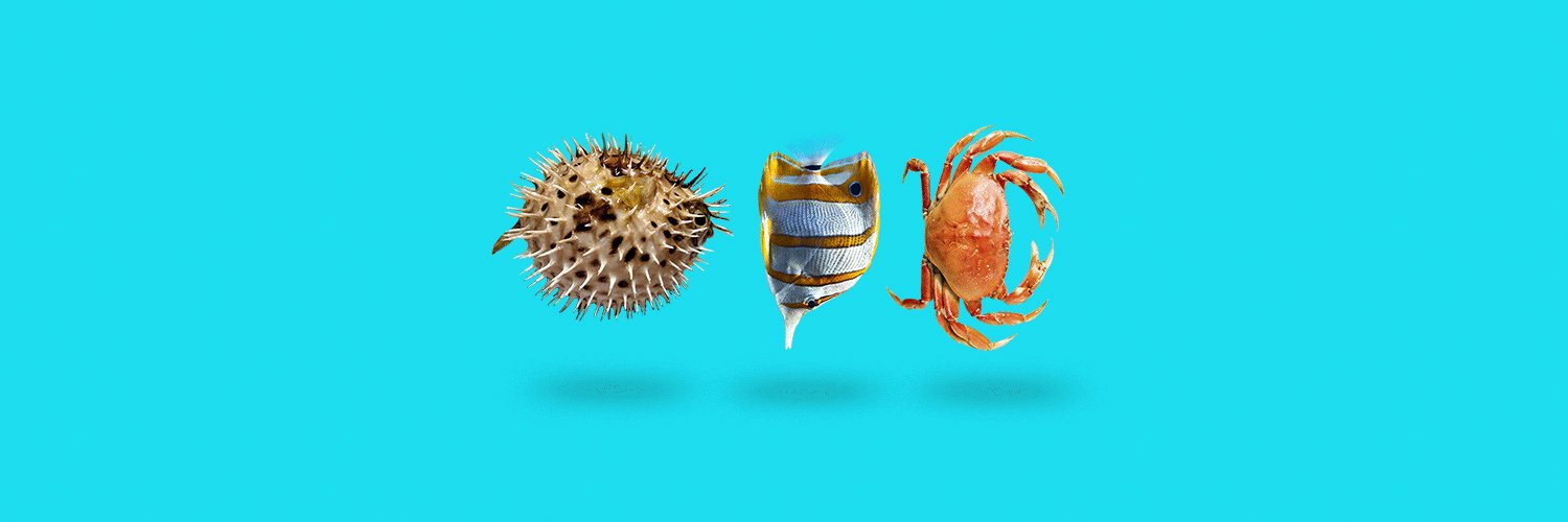 ODDbureau's profile banner image
