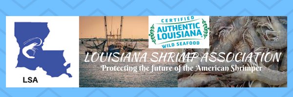 LSAshrimp Profile Banner