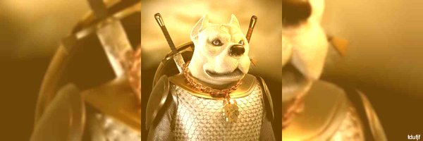 tdufjf Profile Banner