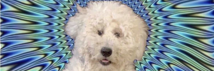 eddieeconfetti's profile banner image