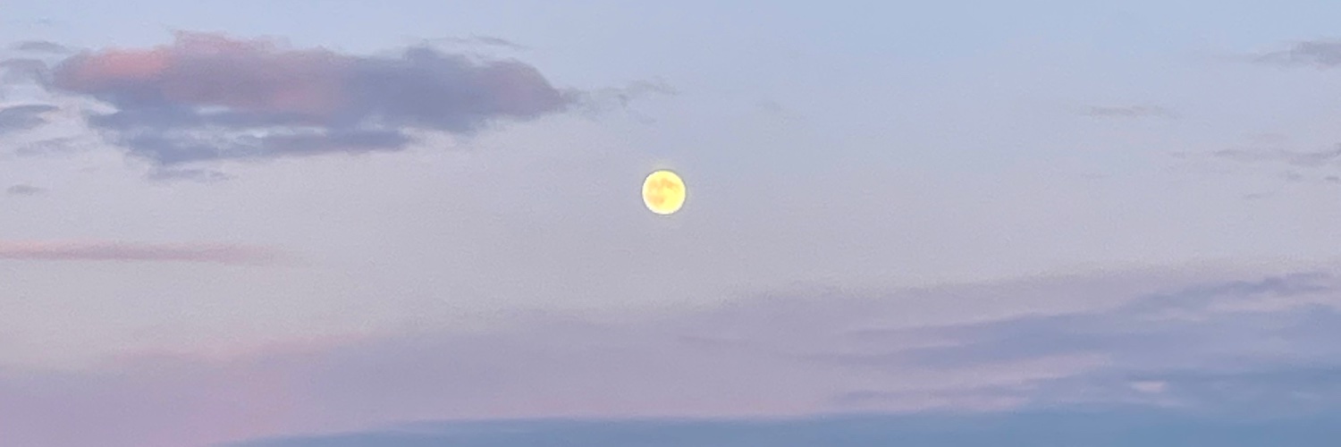 wildrose1996's profile banner image