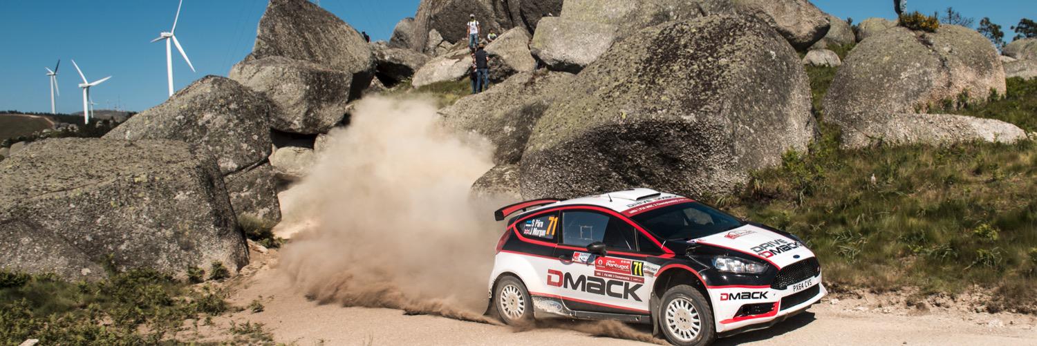 Sander Pärn Rally banner