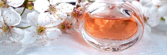 عفاف Afaf_Eva banner