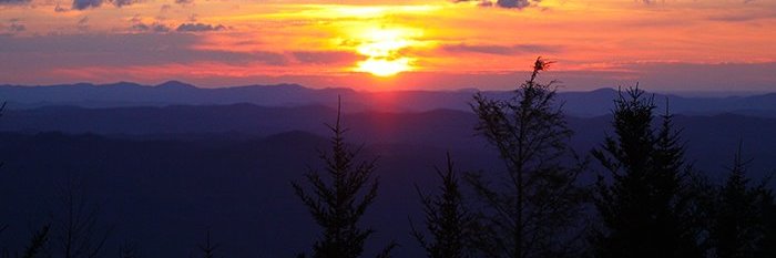 KAmspach's profile banner image
