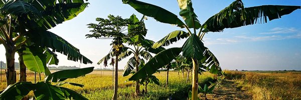 m_rouard Profile Banner