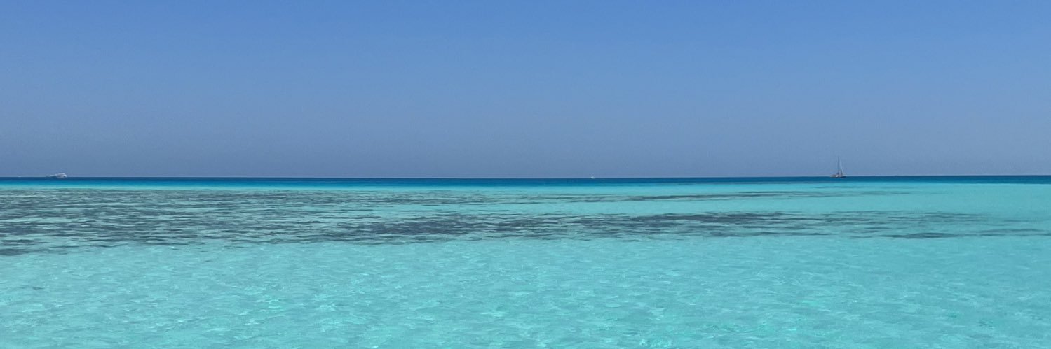 vicgabreau's profile banner image