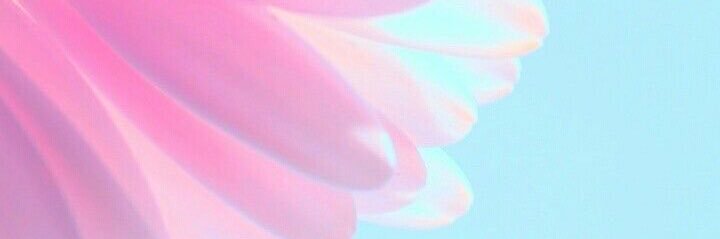 .. ✿ ولاء banner