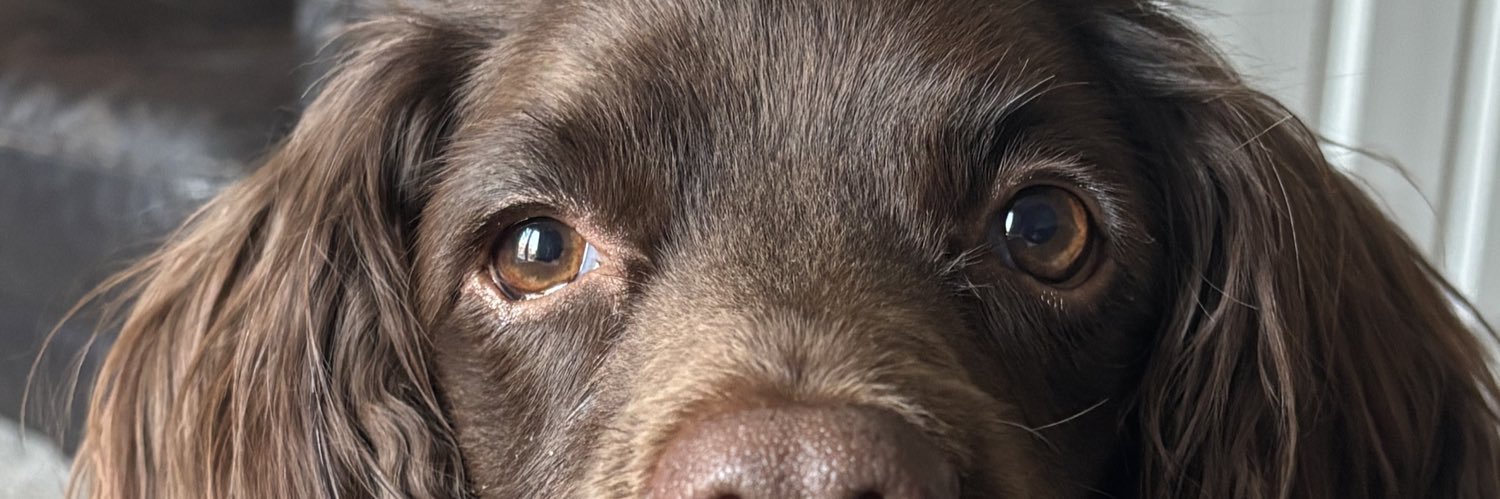 Rdonaldson74's profile banner image