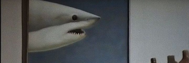 mmnzebu's profile banner image