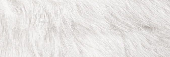 mibukrmi's profile banner image