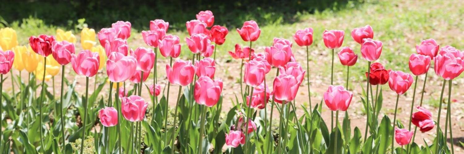 rubby720's profile banner image