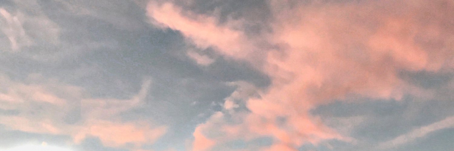 RigaudeauC's profile banner image
