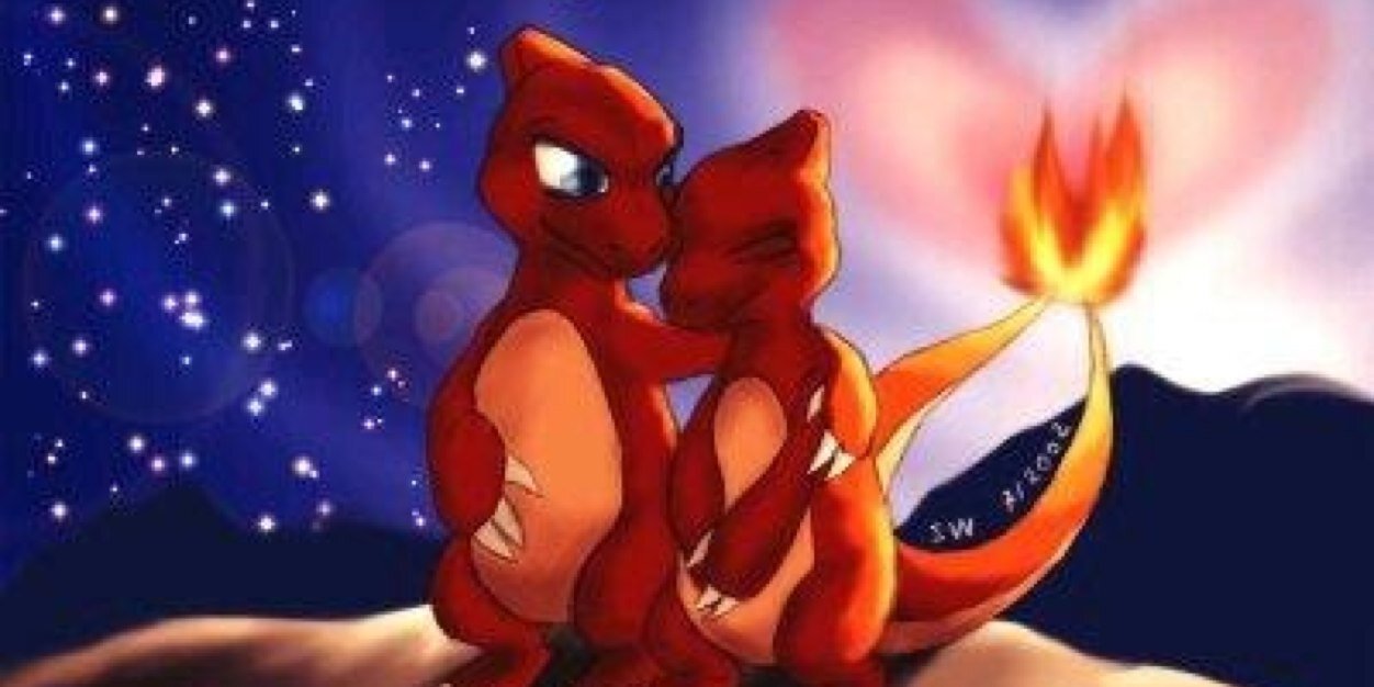 charmander_bri's profile banner image