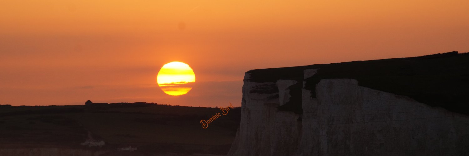 Duke_Silverback's profile banner image