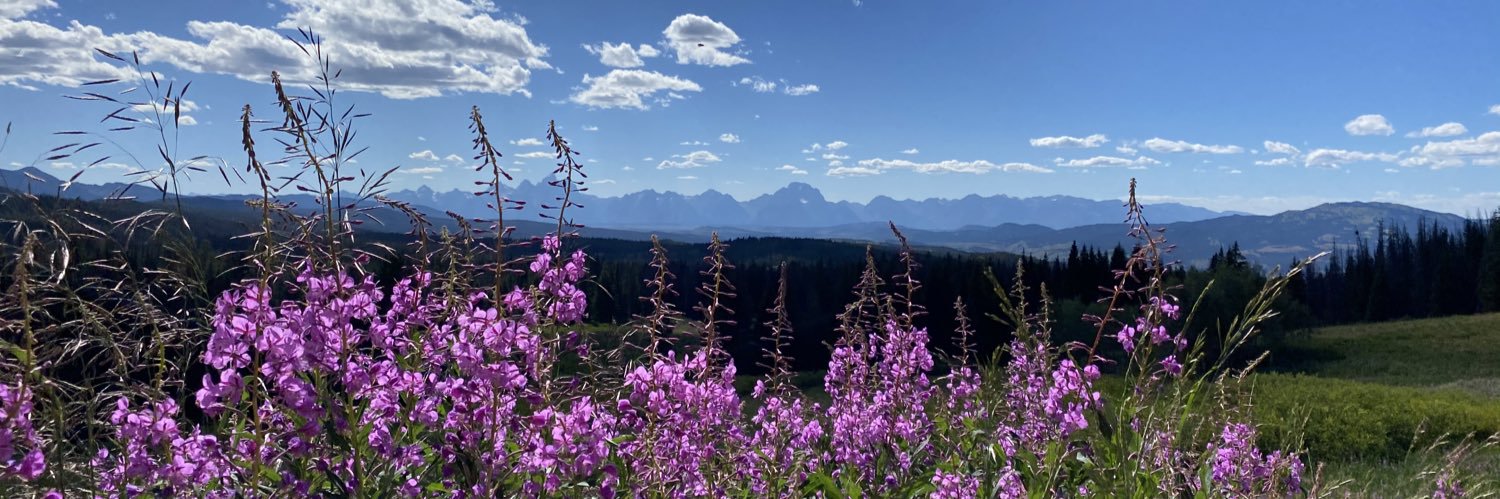 RandiOverkamp's profile banner image
