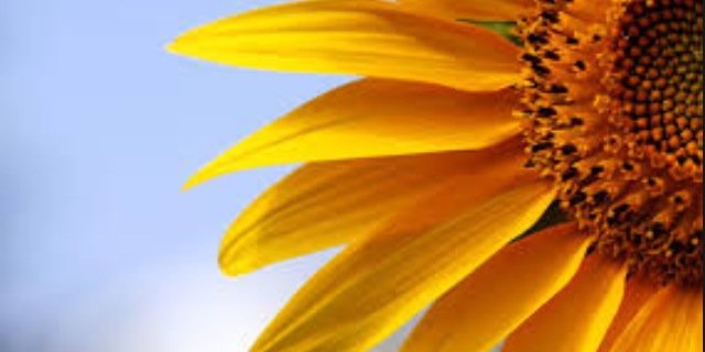 HaileySweet1's profile banner image