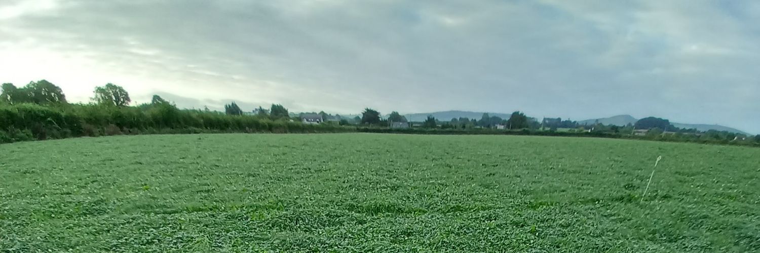 Colin Doherty banner