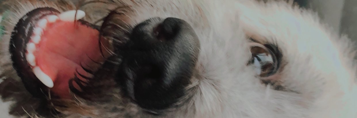 Jereesok's profile banner image