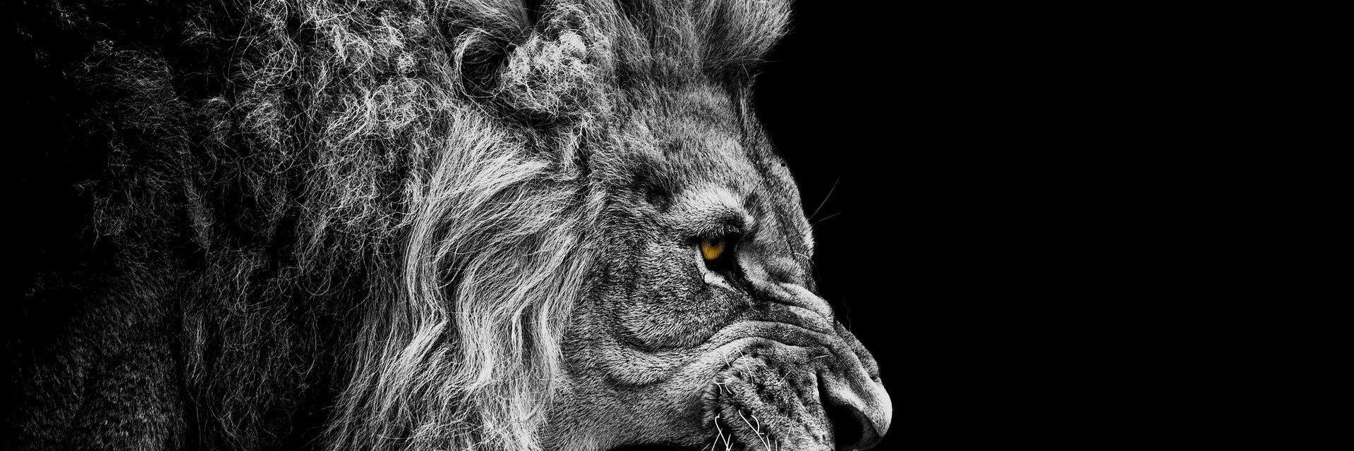 ASHISHMALLHOTRA's profile banner image
