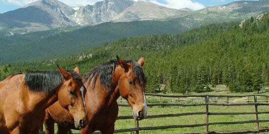 WindRiverCO's profile banner image
