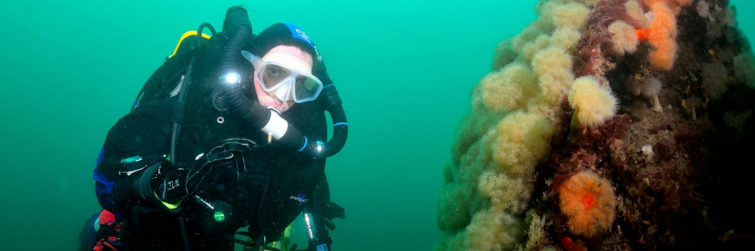 divesoscuba's profile banner image