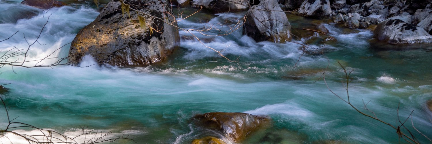 Jennifer Bullis (jenniferbullis.bsky.social) banner