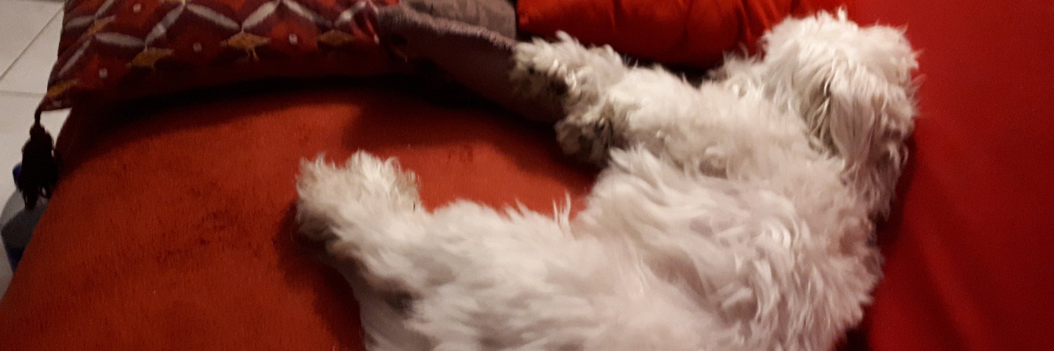 🇨🇵 walou 🇫🇷 ✝🎗 banner