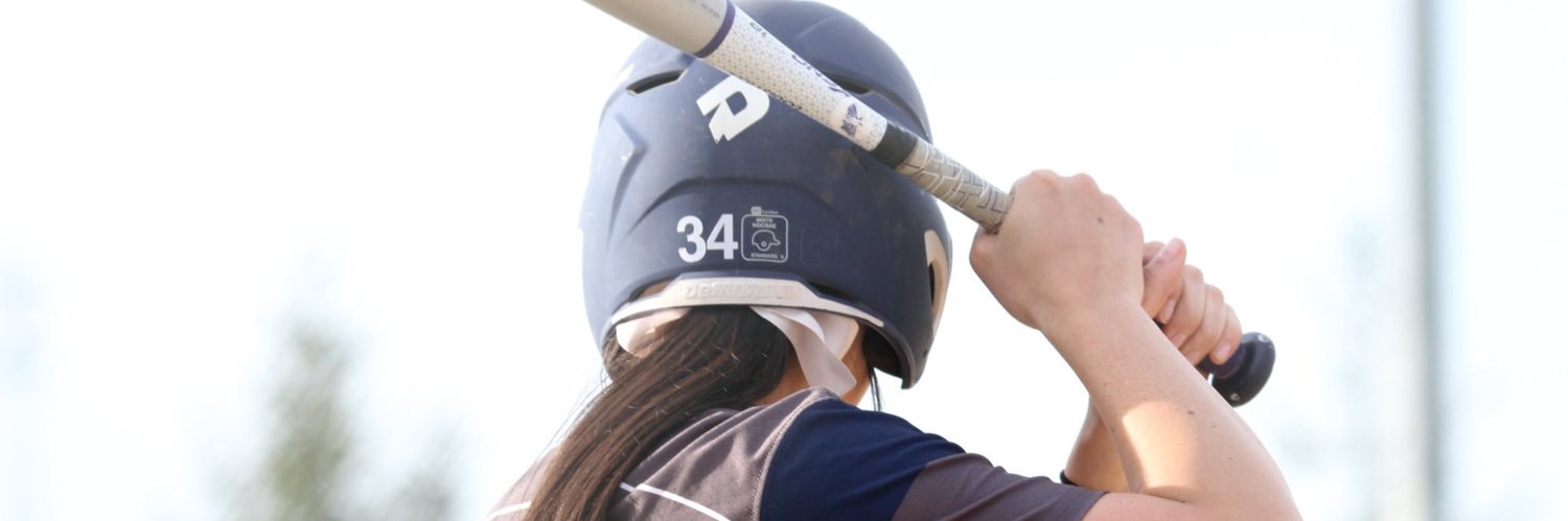 Arthur Anderson banner