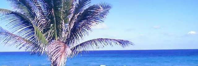 Onthebeach205's profile banner image