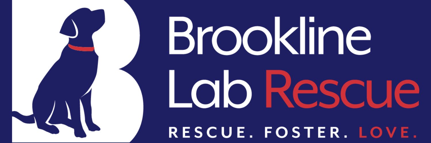 BrooklineLabs's profile banner image