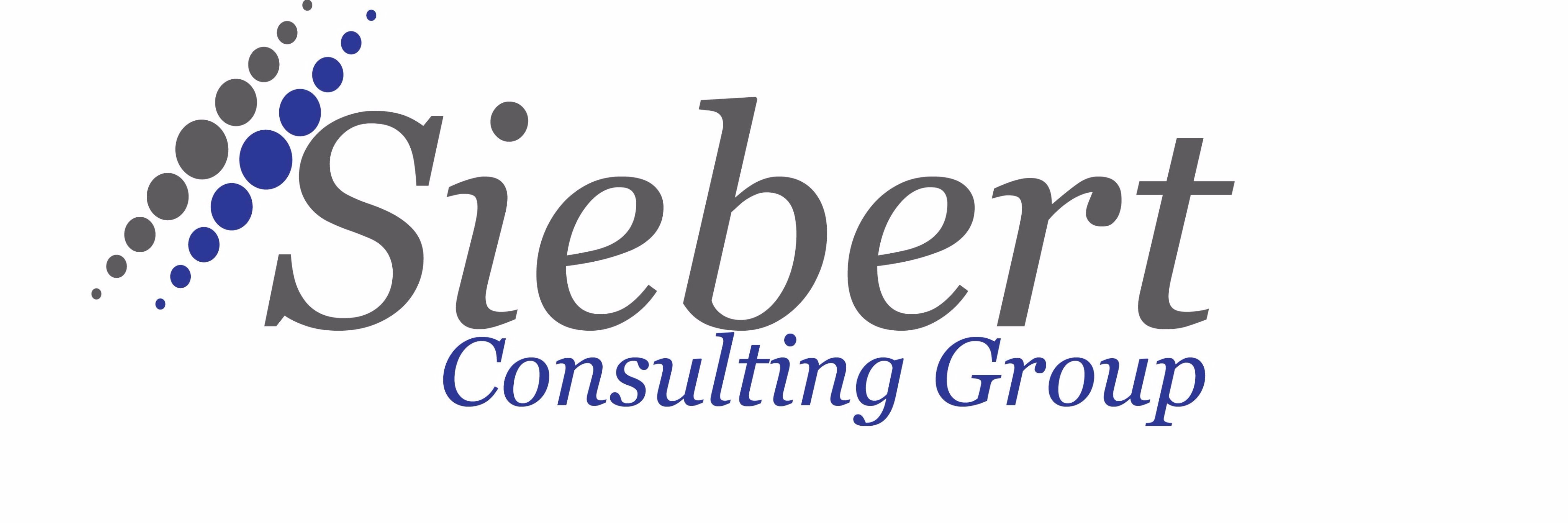 siebert_consult's profile banner image