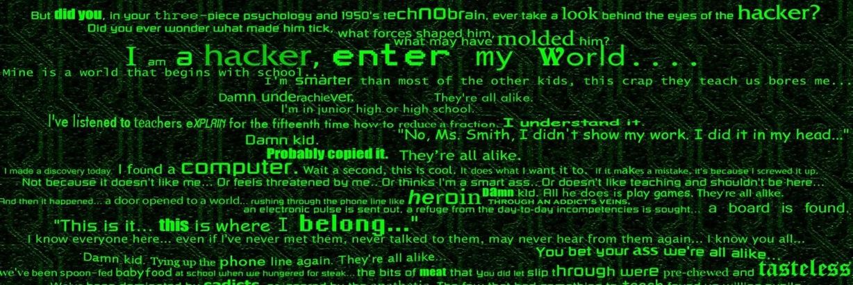 taggerung_'s profile banner image