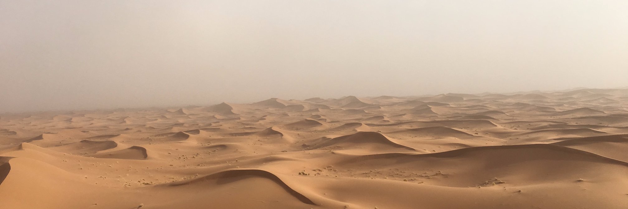 Maxime Le Dantec banner