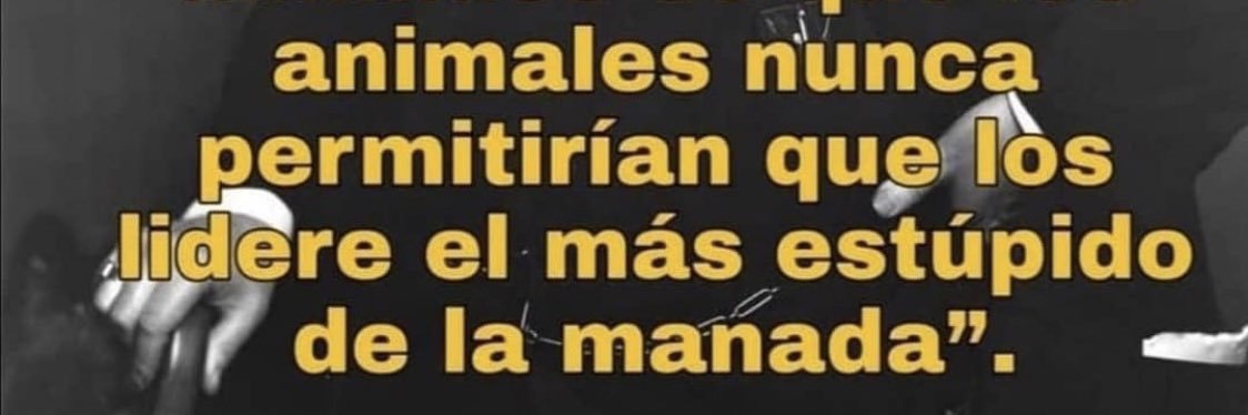 casi first lady 😁🦁 banner