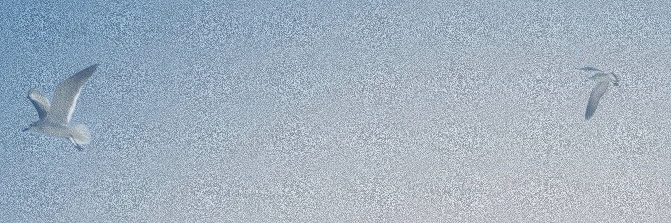 nillmmm's profile banner image