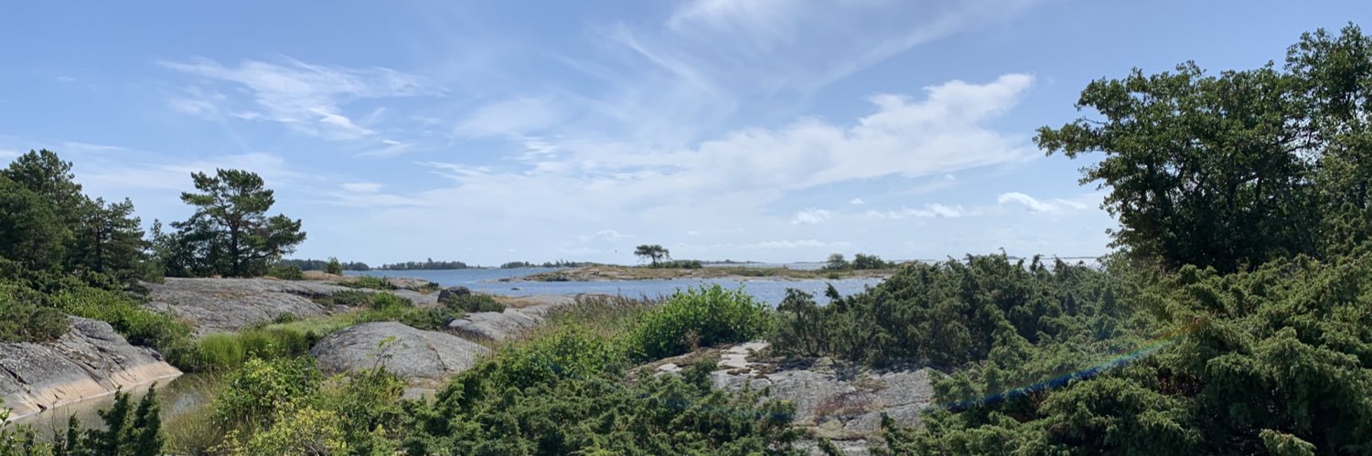 dalsvik's profile banner image