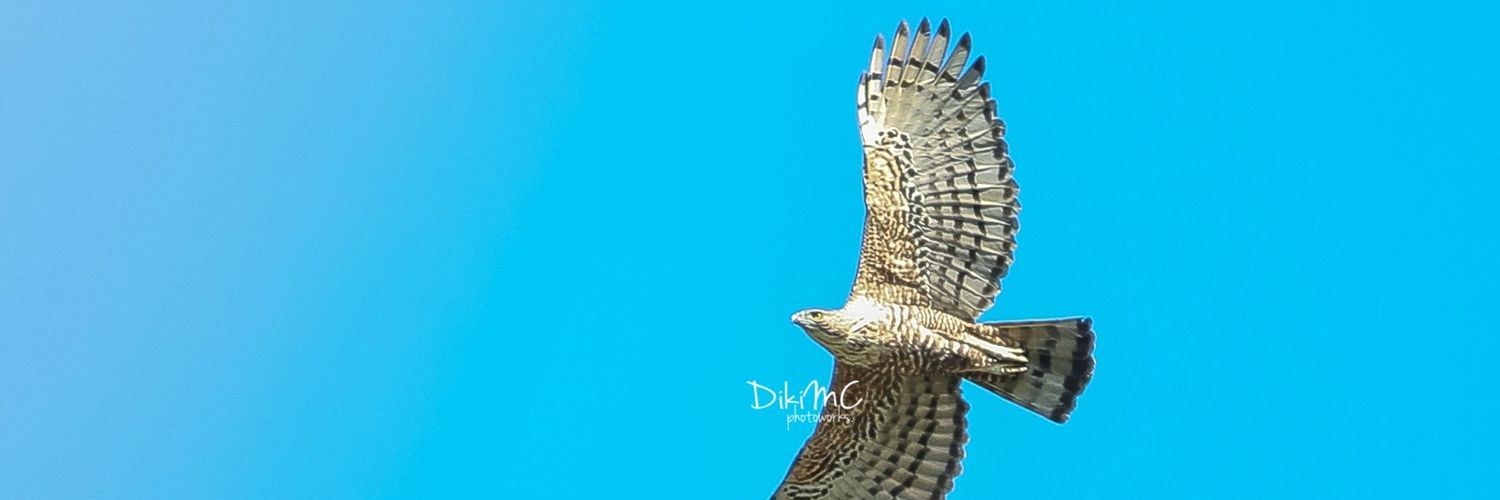 dikimc_'s profile banner image