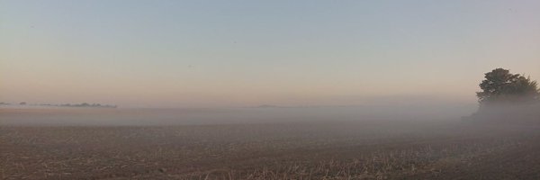 Ian_bookless Profile Banner