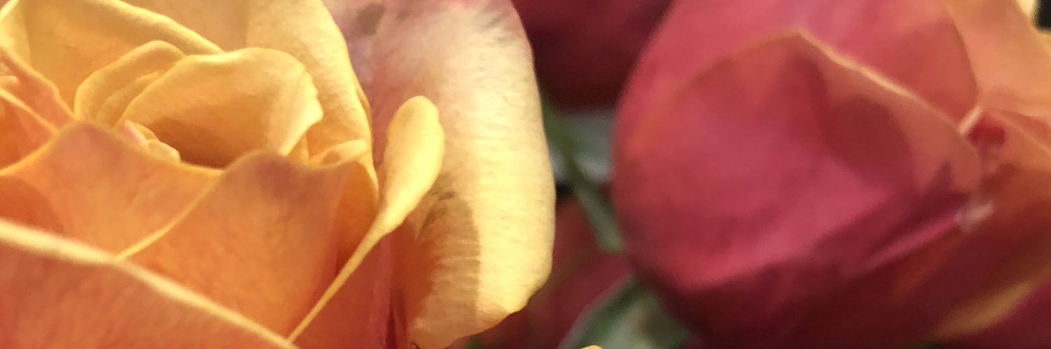 egreene72's profile banner image