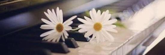 alostora24's profile banner image