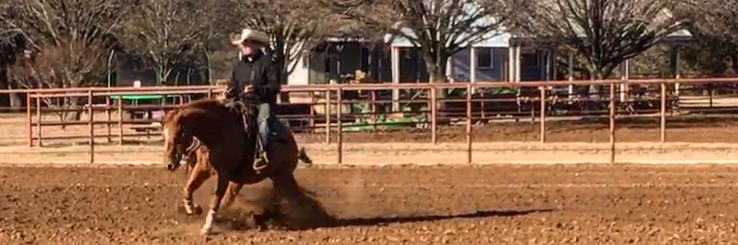 cowboy_bailey's profile banner image