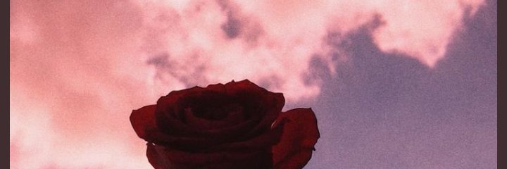 alejandra_992's profile banner image