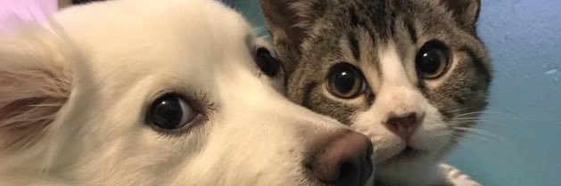 ナッタモン banner