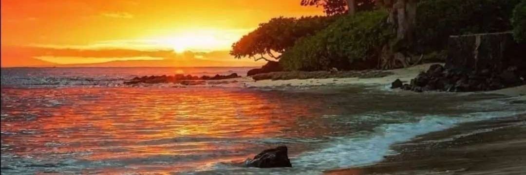 Tango5021🏋🏾‍♂️🚴🏾‍♀️🍌💧🎵💃🏾🕺🏽💃🏻🍾🥂🥃 banner